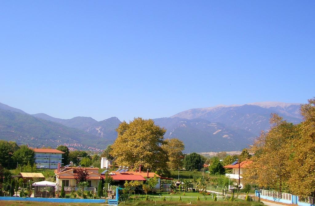 Ziogas