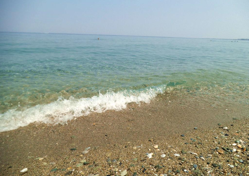 Apartment Ziogas Paralia Skotinis