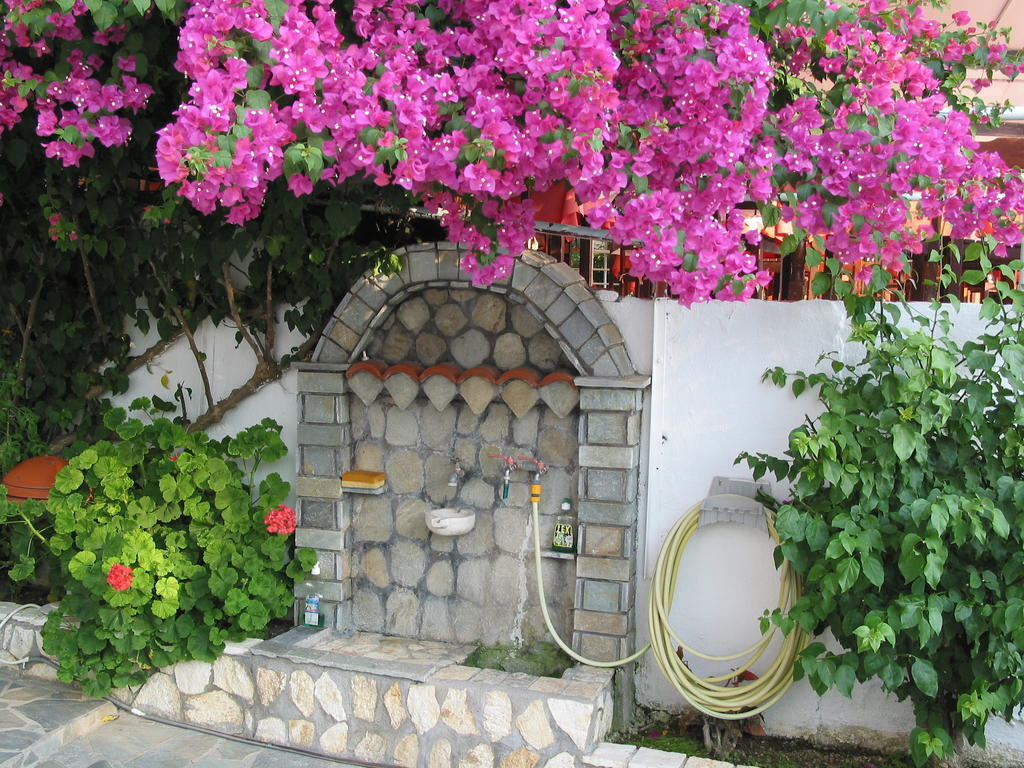 Apartment Leonidas Vasiliki (Lefkada)