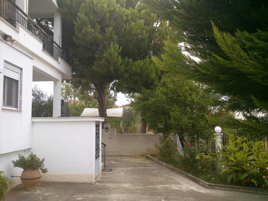 Apartment Kalaitzis
