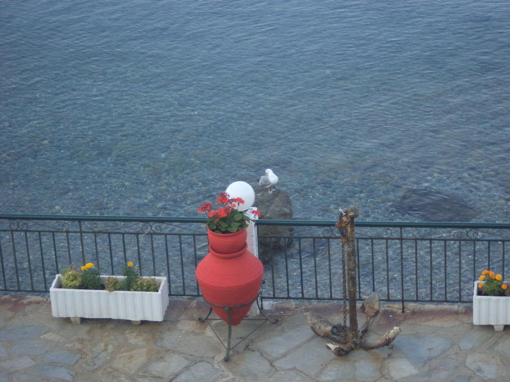 Apartment Alexiadis Agia Paraskevi (Kassandra)