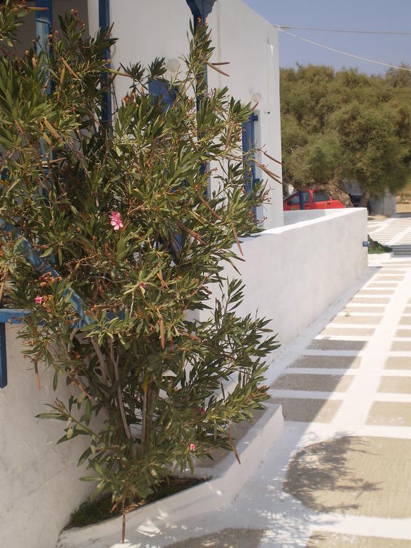 Guest house Andromeda