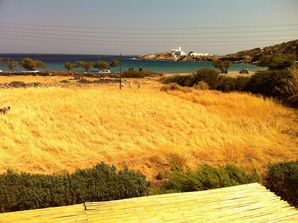 Apartment Papantonis