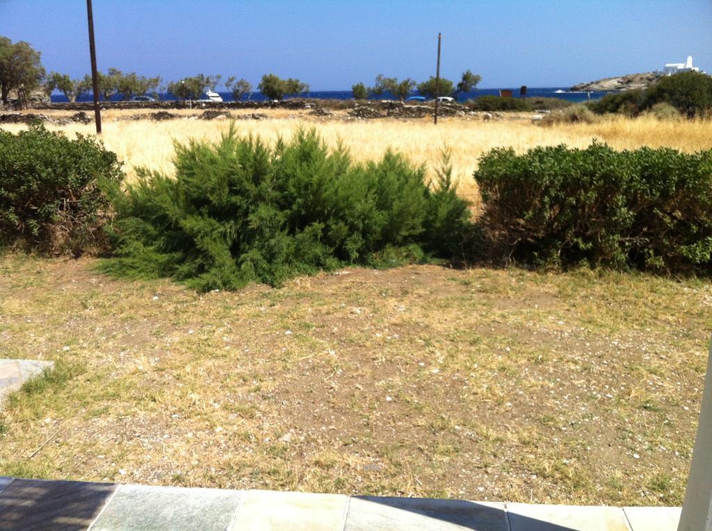 Apartment Papantonis *
