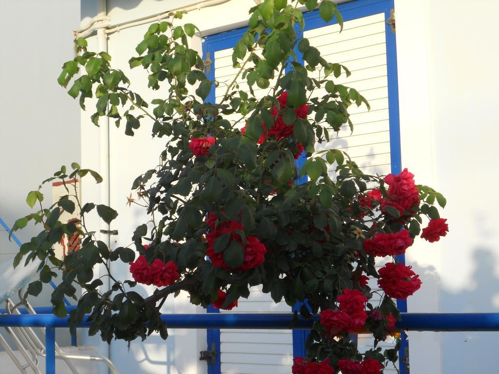 Apartment Dimitra Skafidia