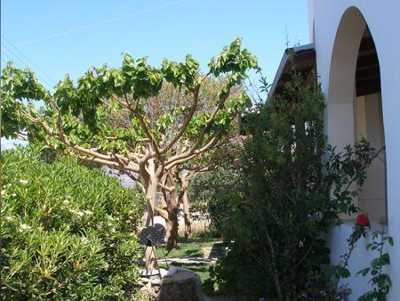 Aeolos