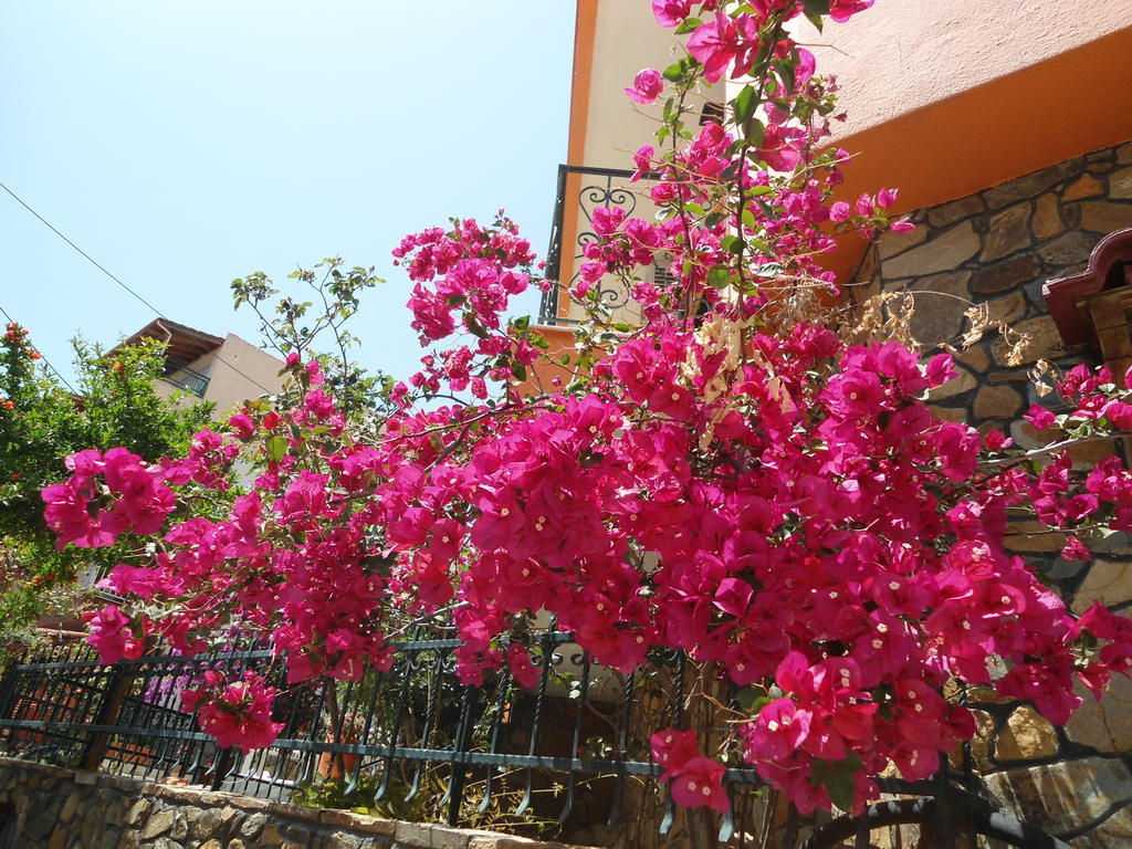 Hotel Olympos