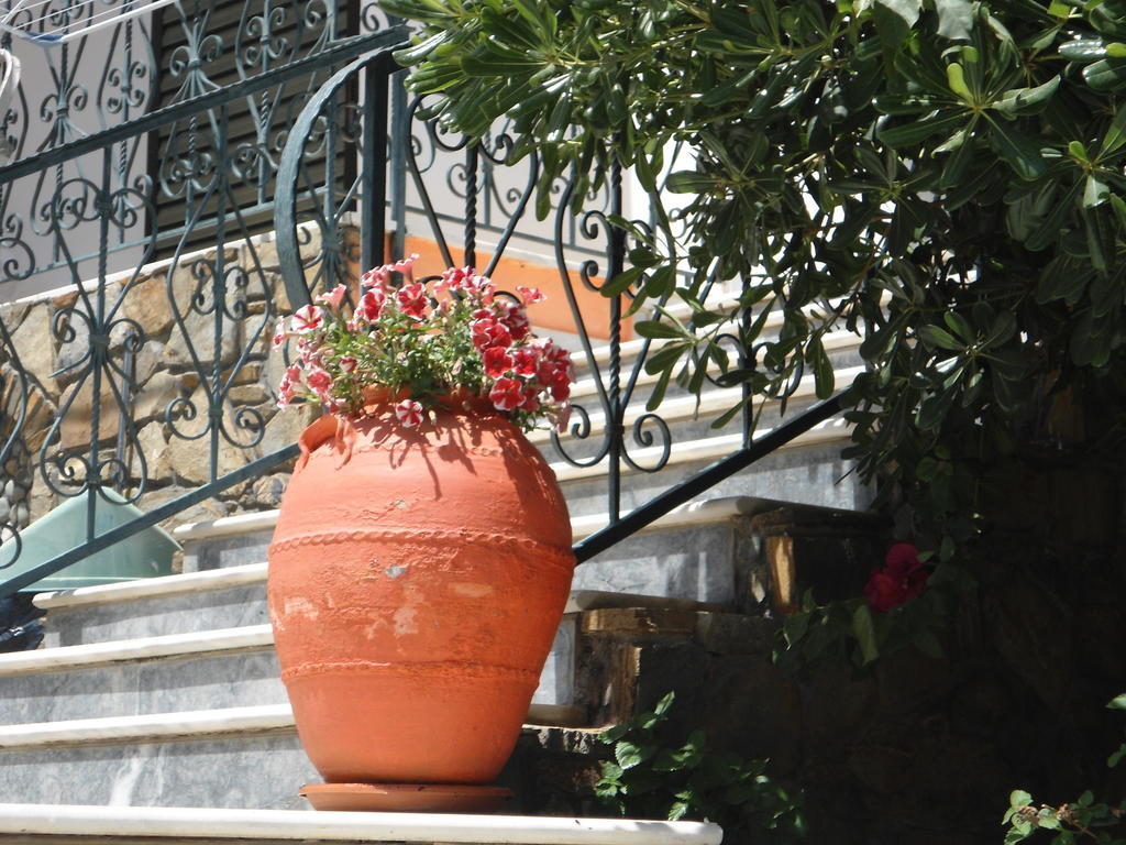 Hotel Olympos