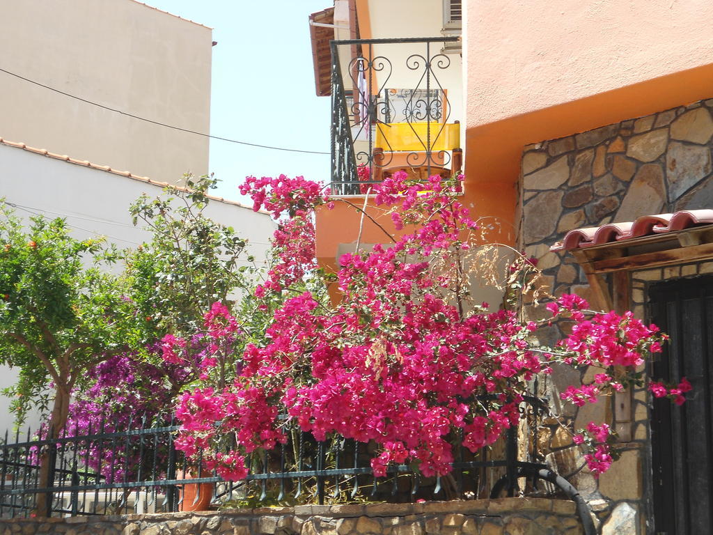 Hotel Olympos *