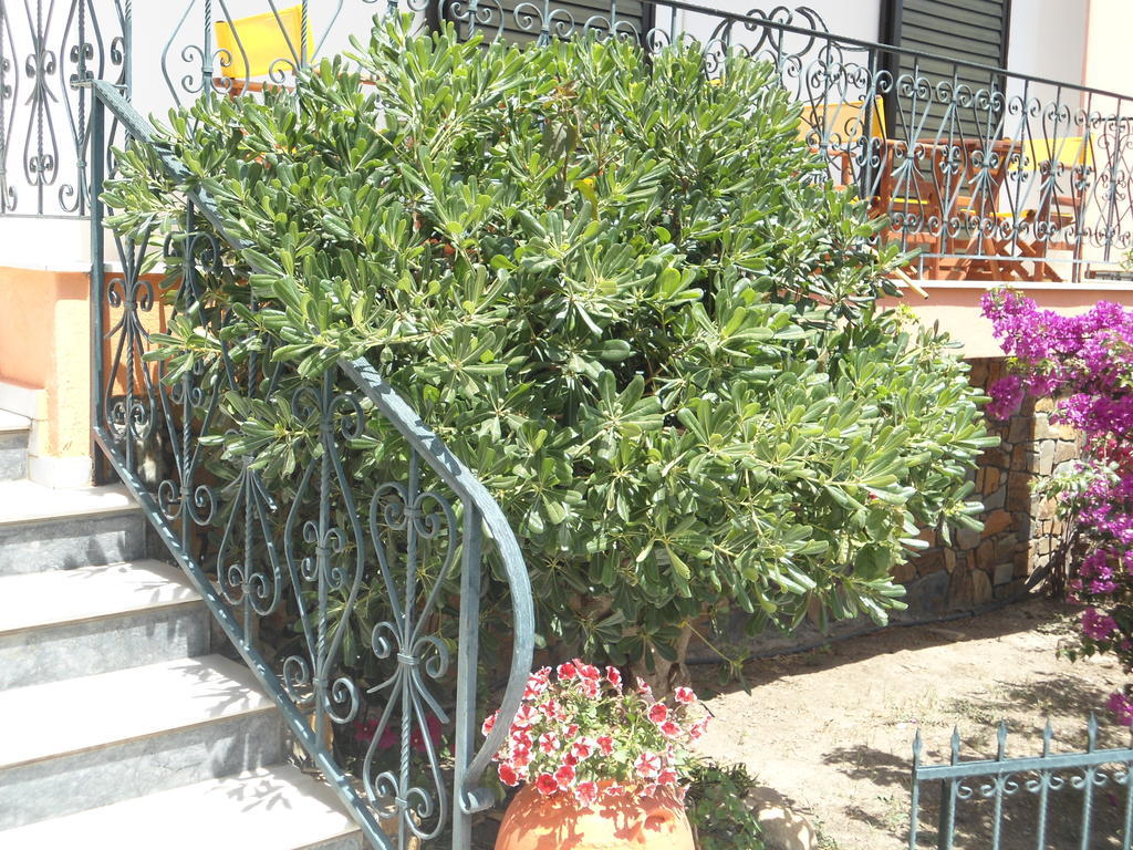 Olympos Neos Marmaras