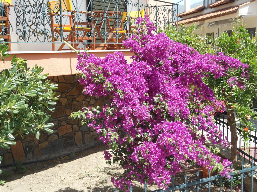 Olympos