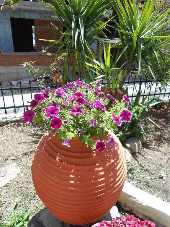 Hotel Olympos