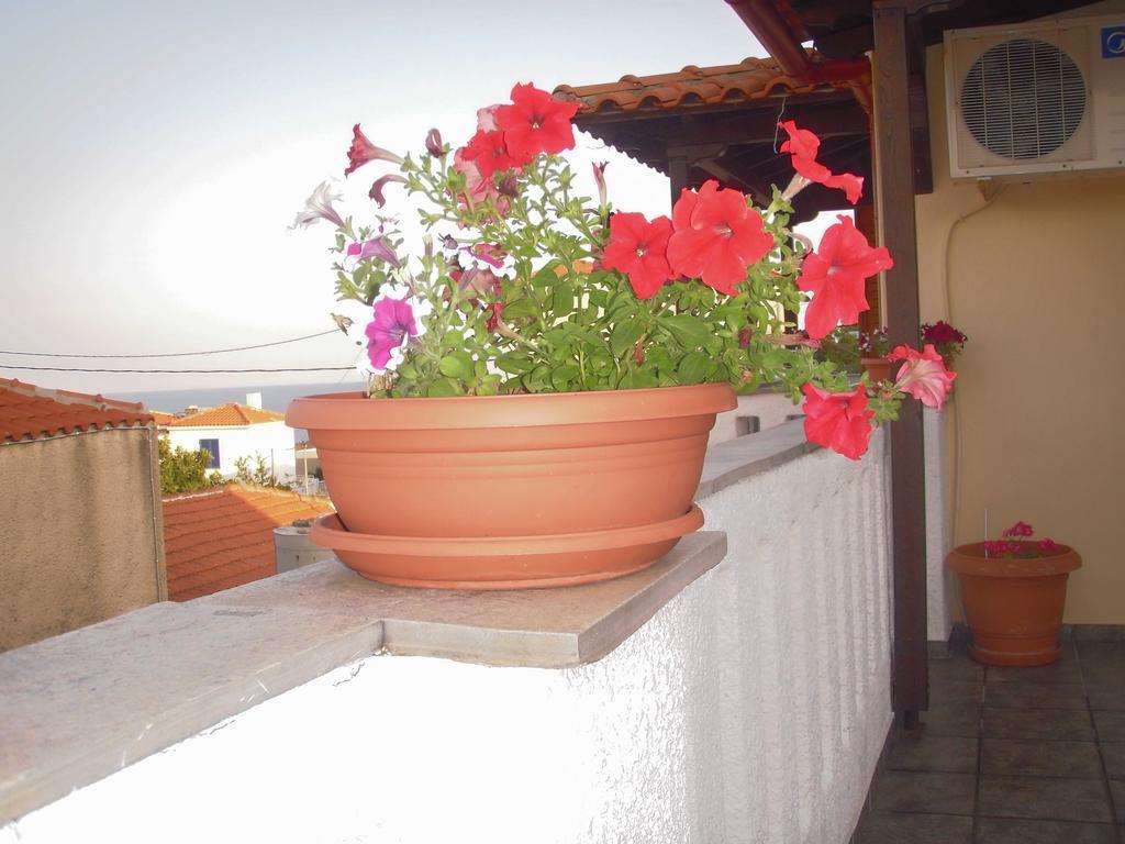 Apartment Ikos And *