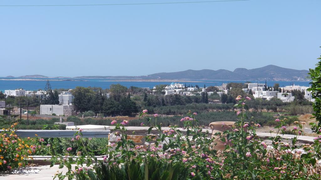 Narkissos Aliki (Paros)