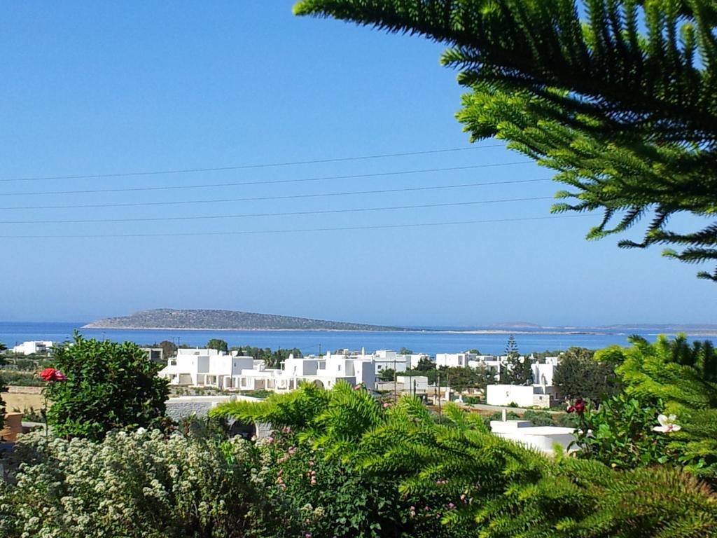 Apartment Narkissos Aliki (Paros)