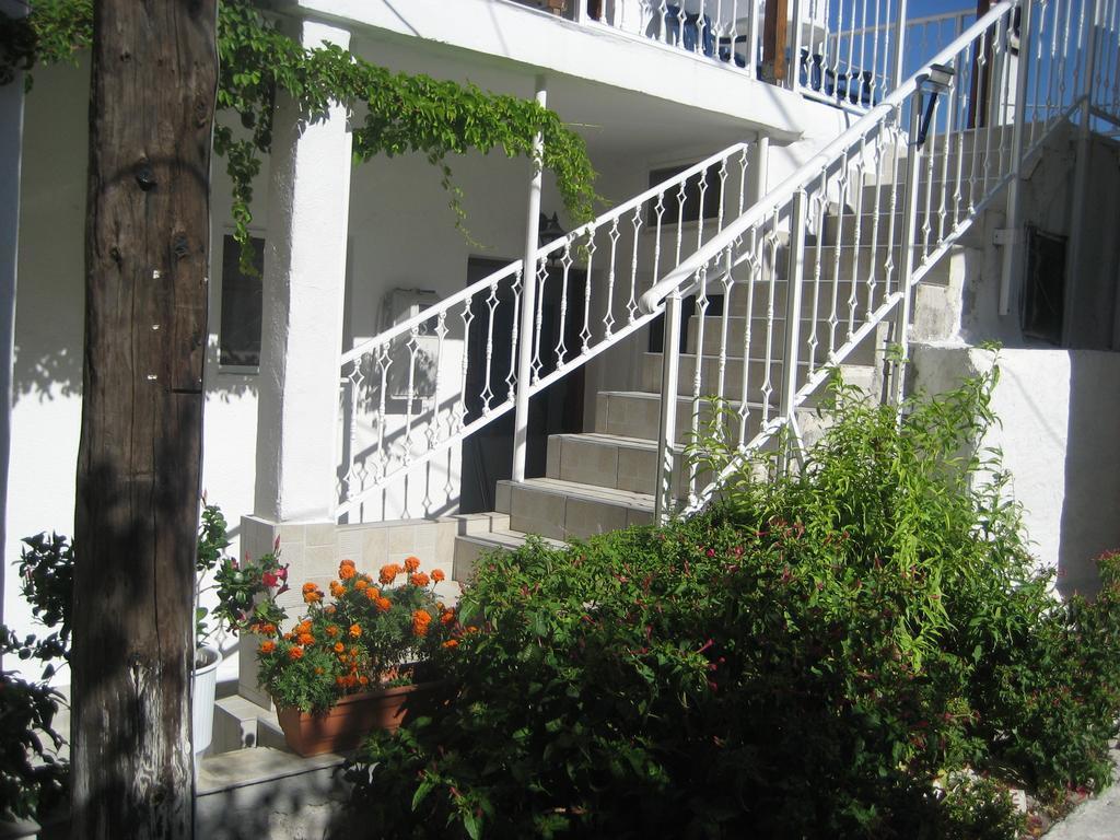 Apartment Kamelia *