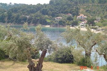Apartment Cape Achladies - Mitikas Katsaros (Skiathos)