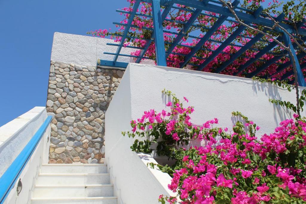 Guest house Meltemi