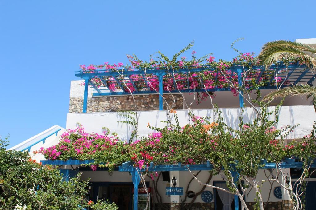 Guest house Meltemi Chora (Ios)