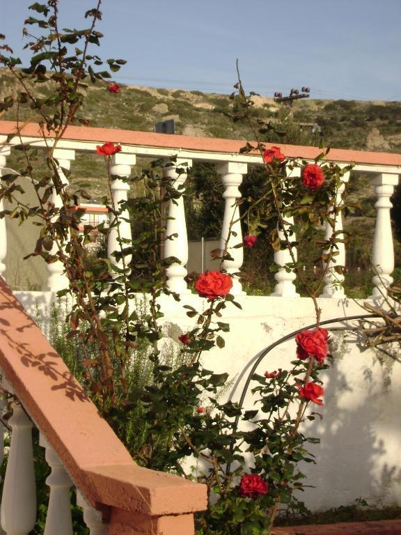 Agios Stefanos & Apartment Kefalos (Kos)