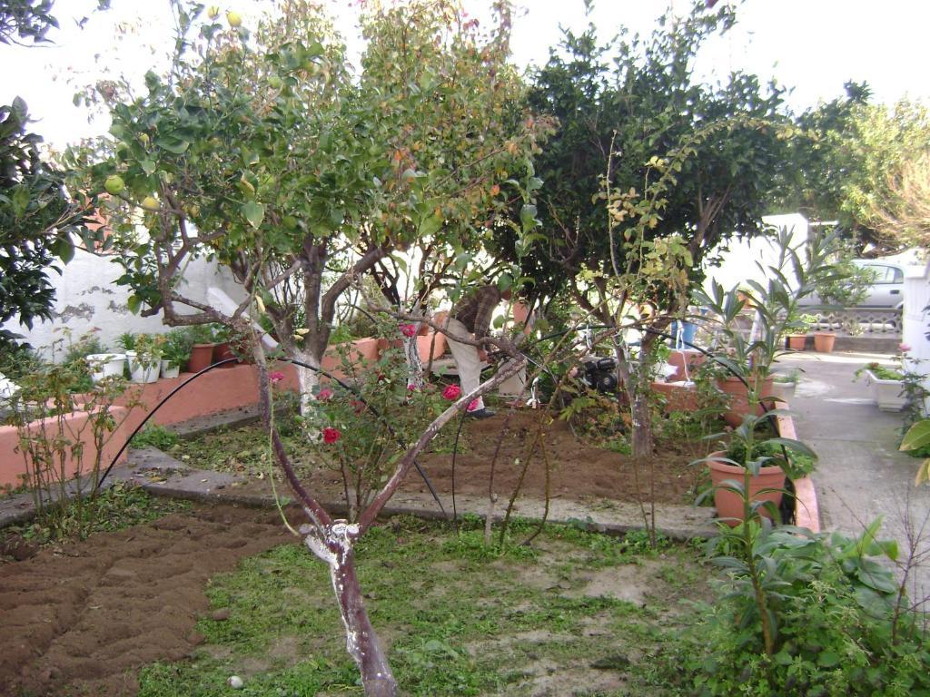 Agios Stefanos & Apartment *