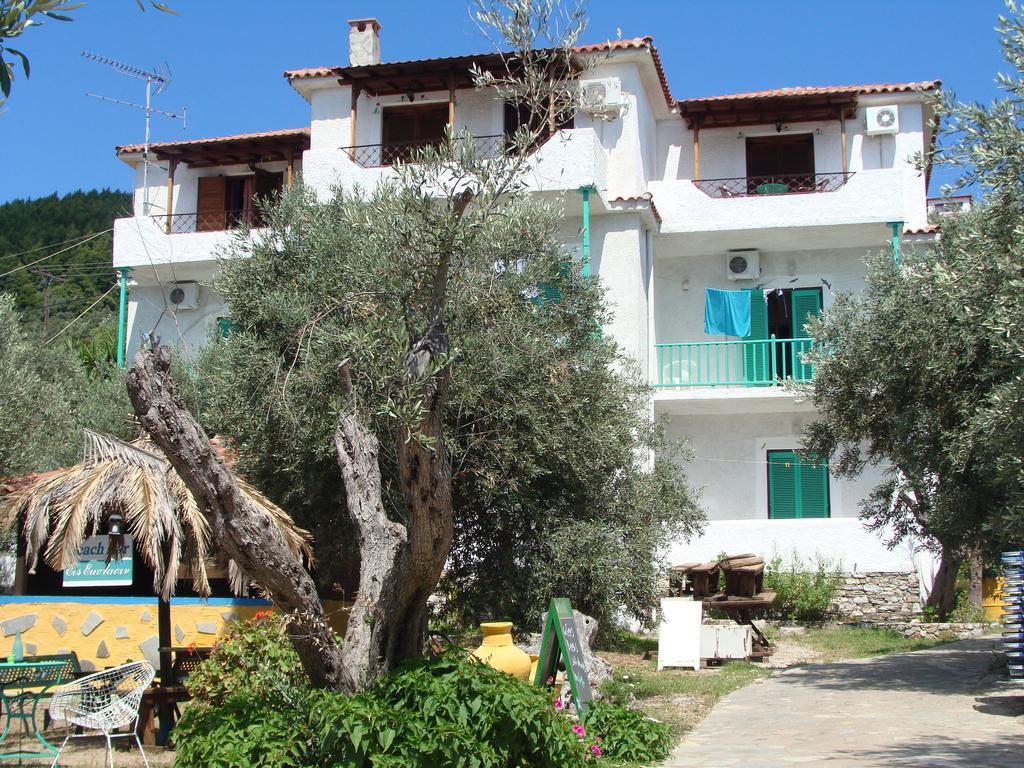 Aparthotel Azalea 2*