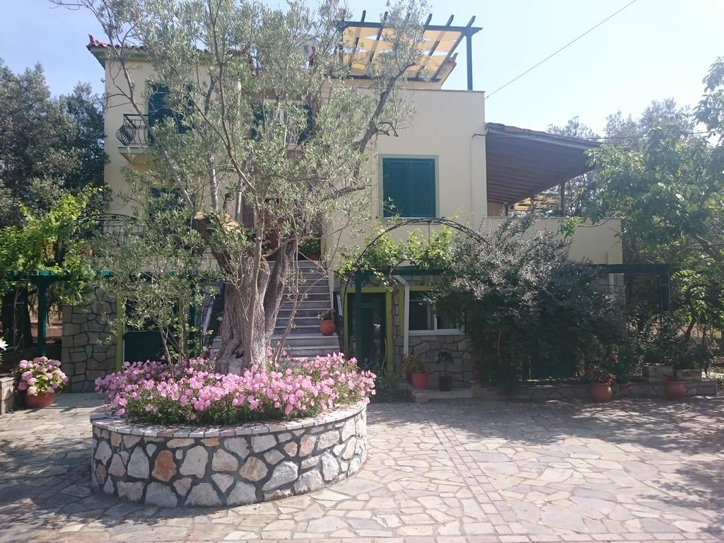 Vasiliki Petra (Lesbos)