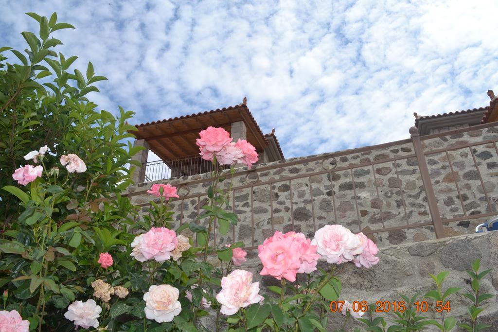 Aparthotel Molivos Castle