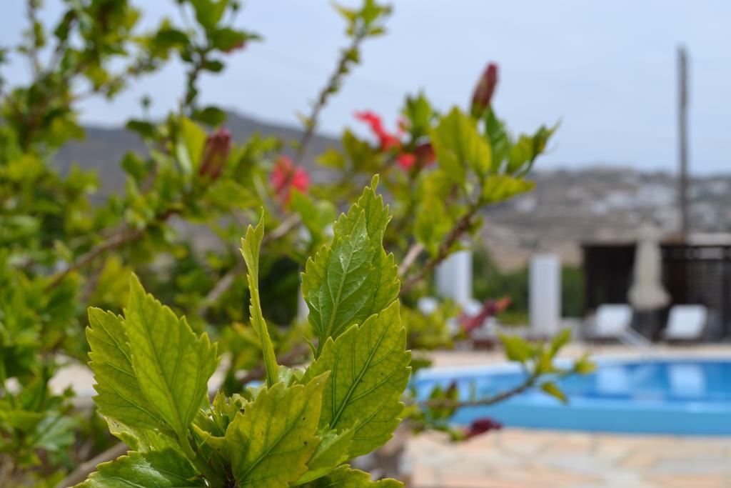 Hotel Brother's Chora (Ios)