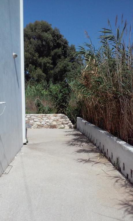 Studios Parian Blu