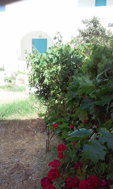 Studios Parian Blu Logaras