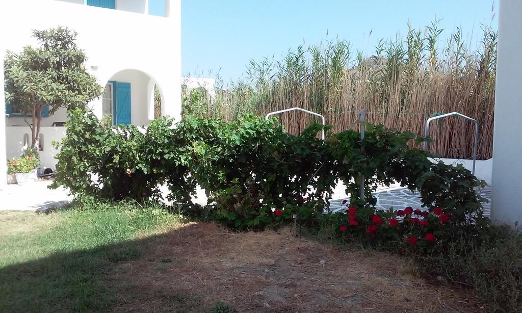 Studios Parian Blu Logaras