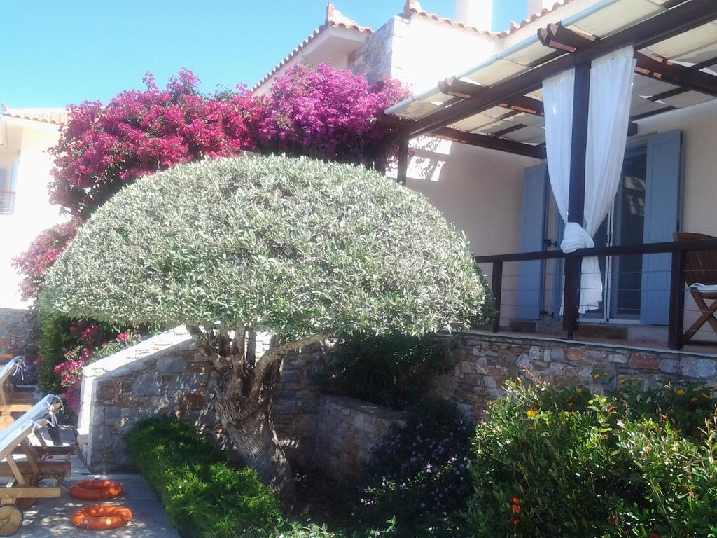 Villa Elies Agnontas