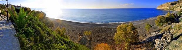 Mare