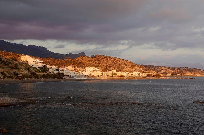 Mare