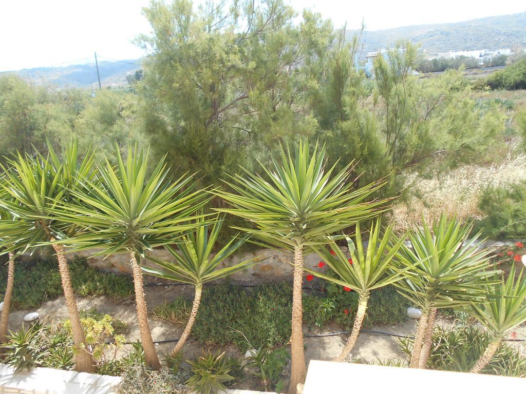 Aparthotel Acti