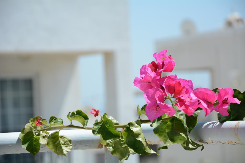 Aparthotel Vergina Kardamena (Kos)