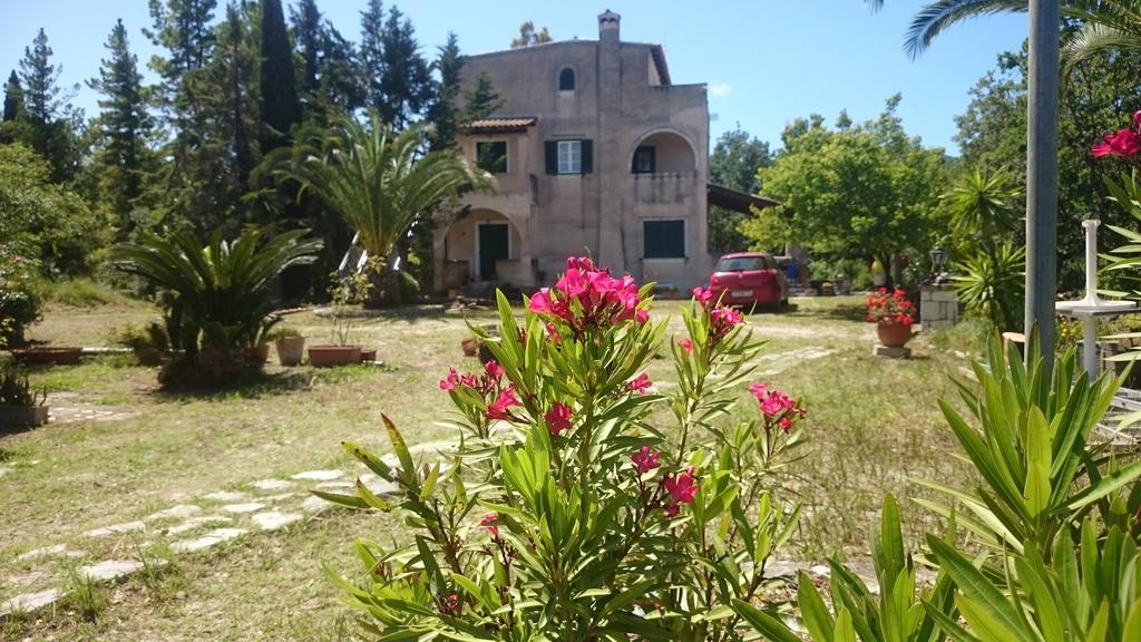 Apartment Corfu 9 Muses