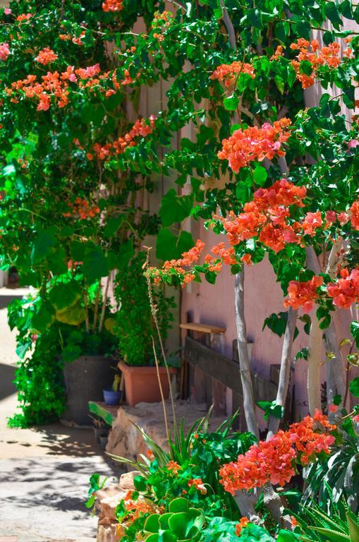 Apartment Home Suites Hersonissos (Crete)