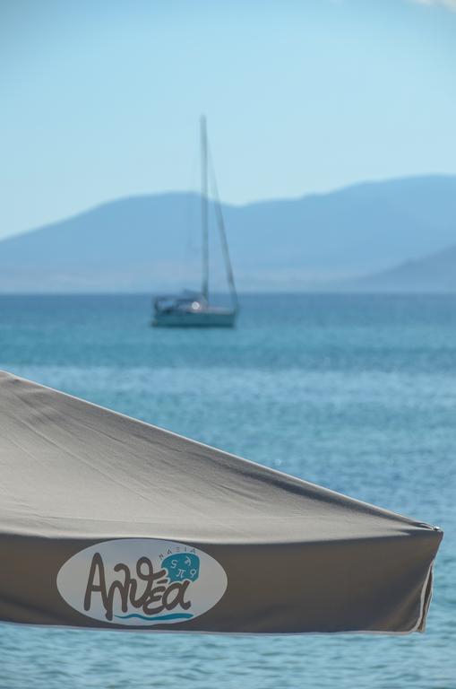 Apartment Naxian Althea