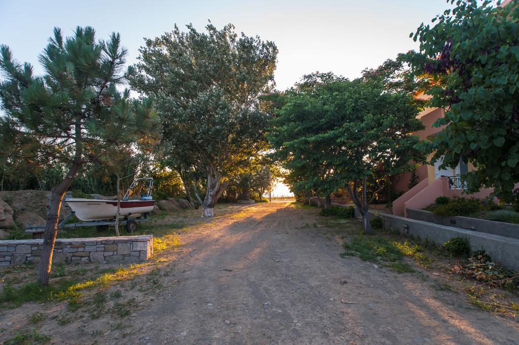 Akrogiali