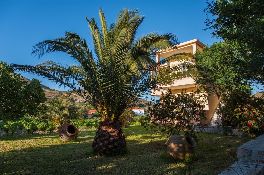 Apartment Akrogiali *