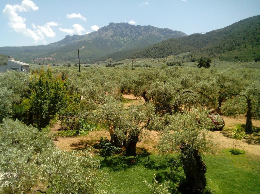 Thomi Skala Rachoni (Thasos)