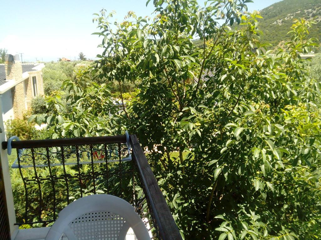 Aparthotel Thomi Skala Rachoni (Thasos)