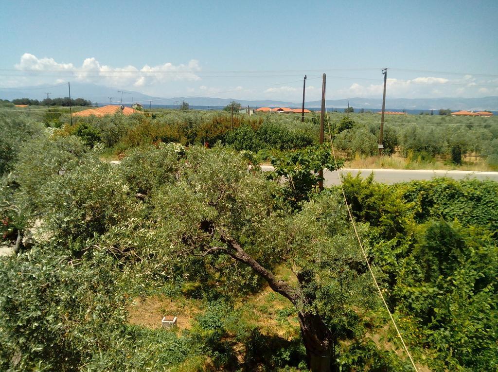 Aparthotel Thomi Skala Rachoni (Thasos)