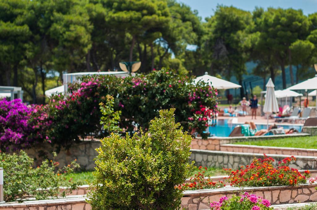 Village & By Zante Plaza (adults Only) Keri