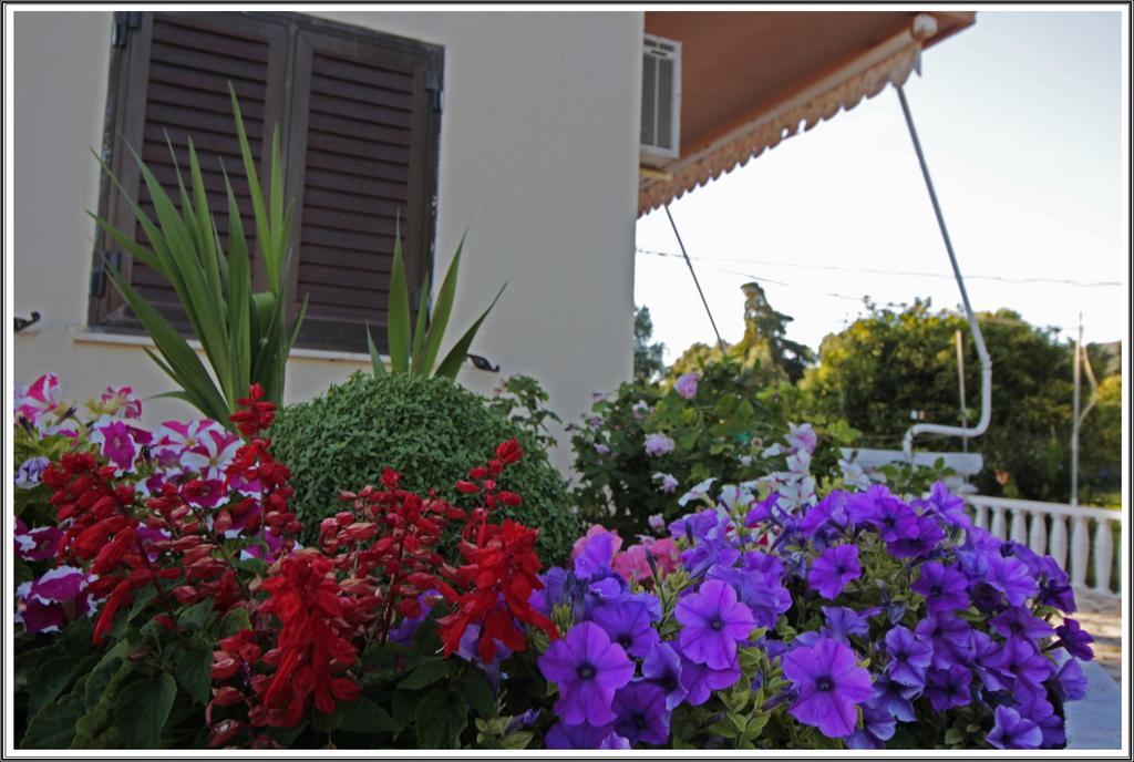 Apartment Katerina Argostoli (Kefalonia)