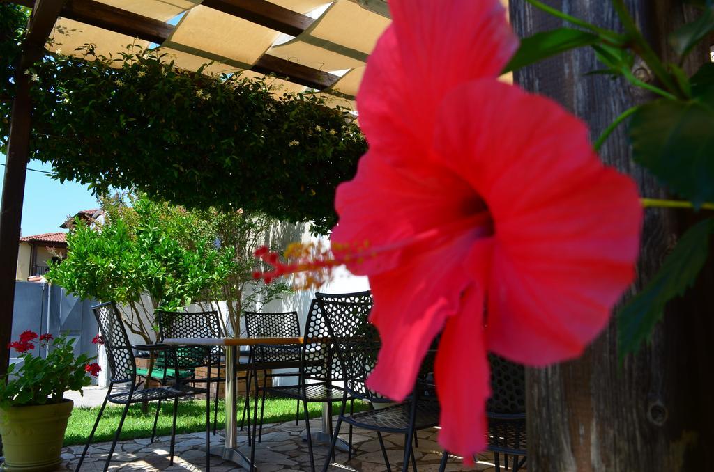 Aparthotel Elanios Zeus 3*