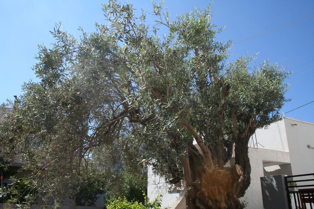 Apartment Pantheon Deluxe Archangelos (Rhodes)