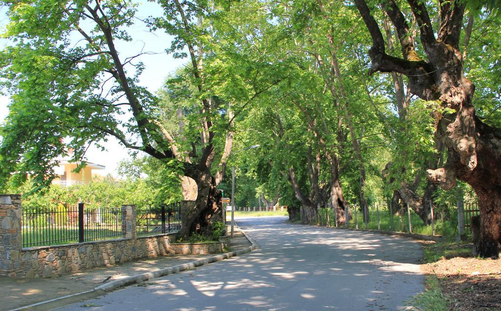 Geromichalos Paralia Skotinis